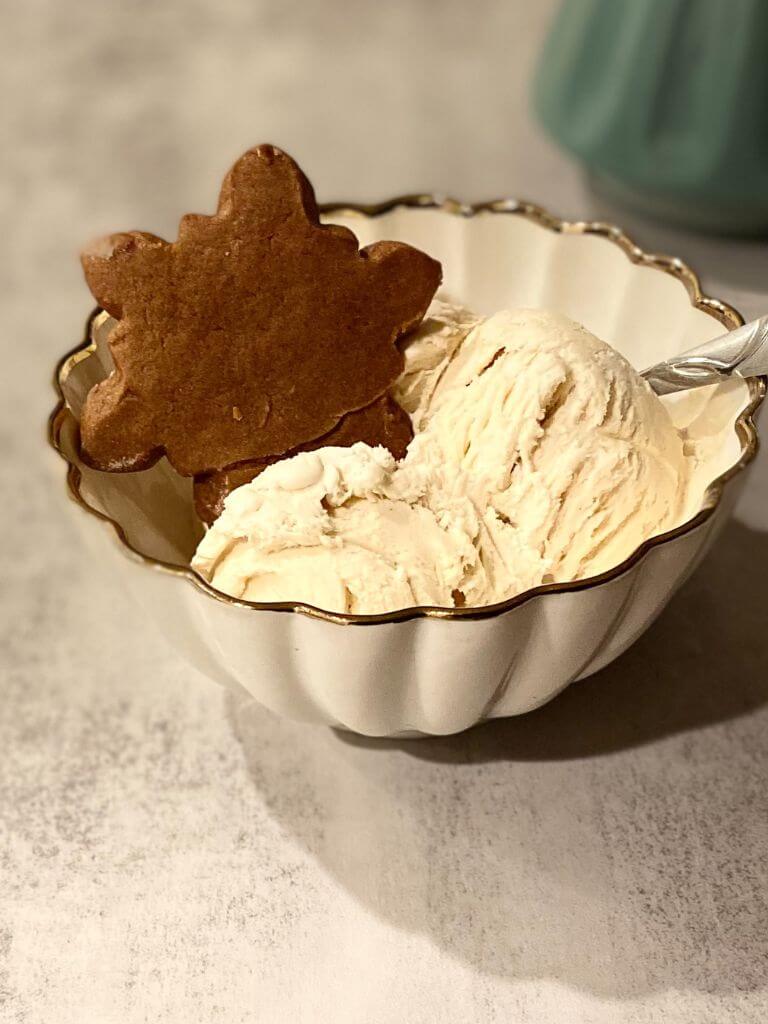 Bowl of gingerbread ice cream
